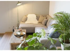 Schapenvacht Ijsland 60x110cm gebroken wit